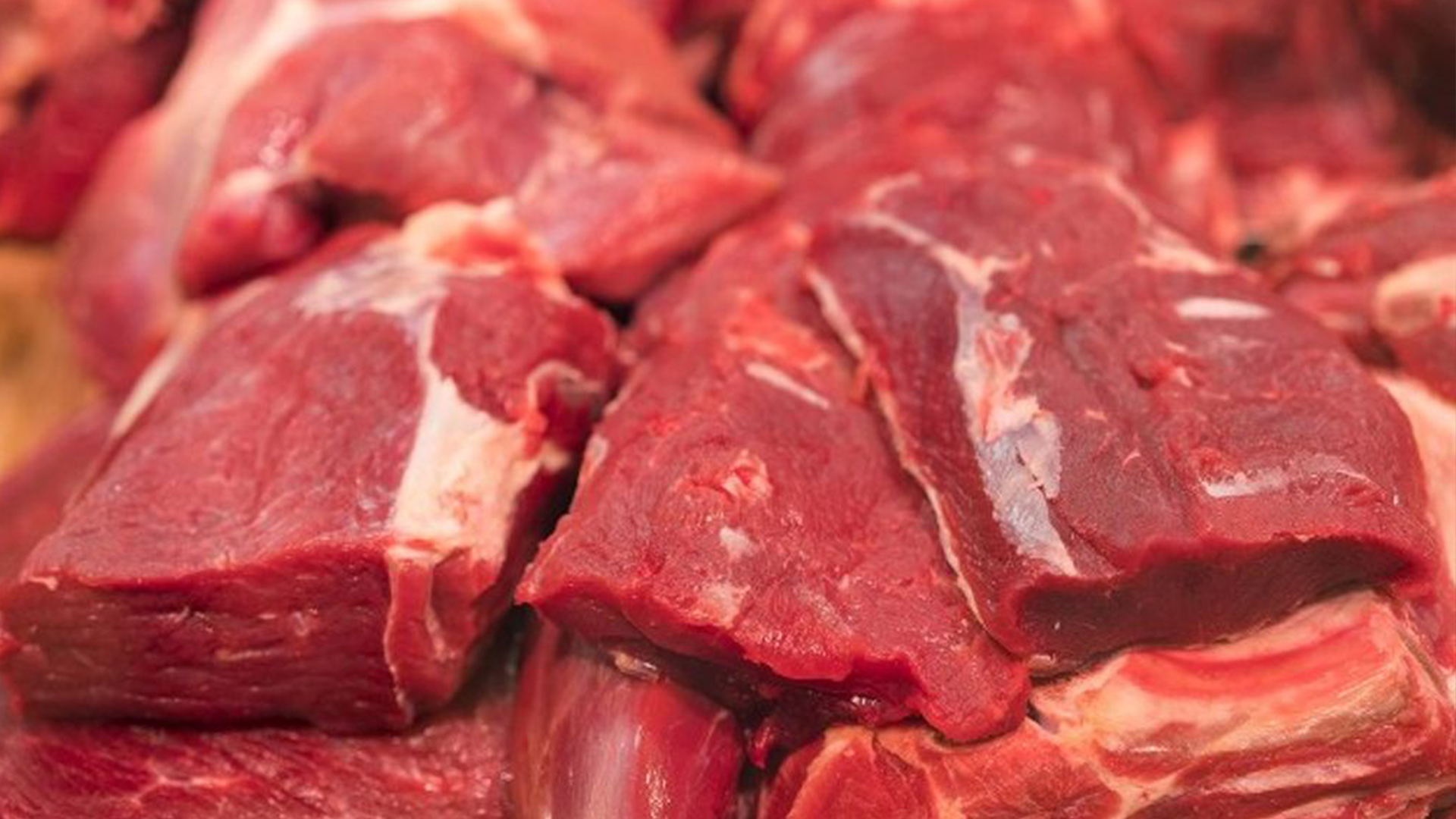 Volume exportado de carne bovina alcança 195 mil toneladas em Setembro/23