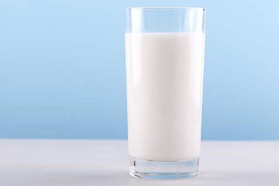 Porque começámos a beber leite de vaca?
