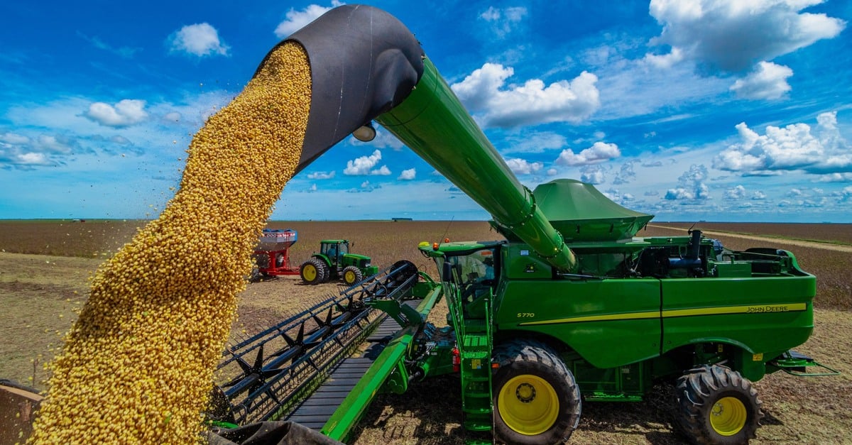 Soja, milho, trigo, sorgo e algodão vão bater recordes em 2023, aponta IBGE
