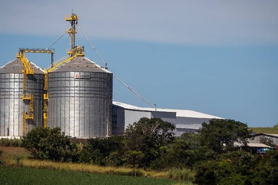 Soja representa 51% dos grãos armazenados nos silos de Roraima em 2022