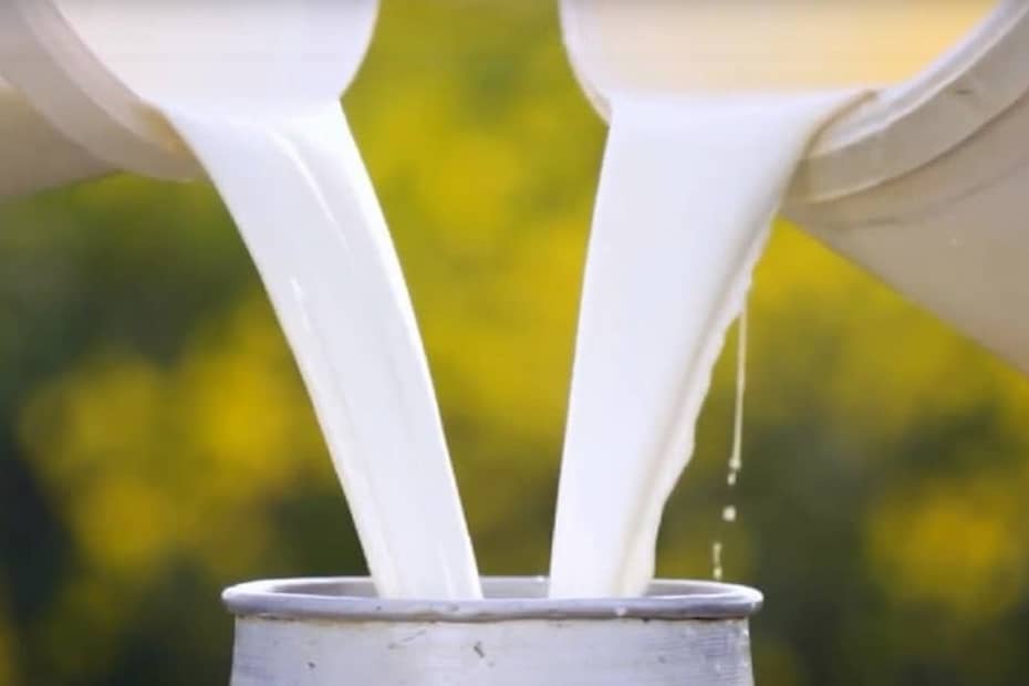 Custo de produção de leite tem alta de 0,3% em setembro