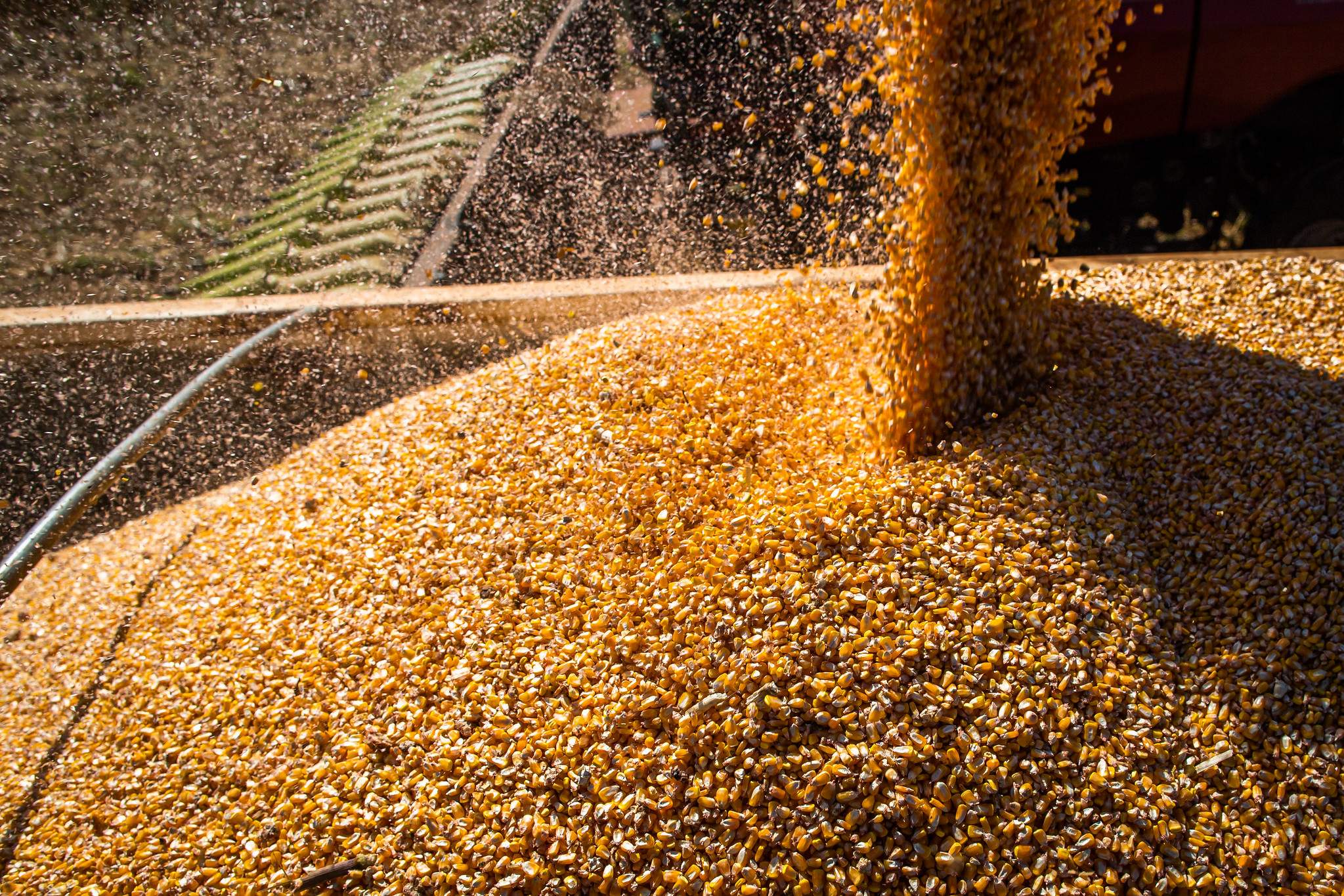 Produção agropecuária bate recorde de R$ 1,150 trilhão em 2023