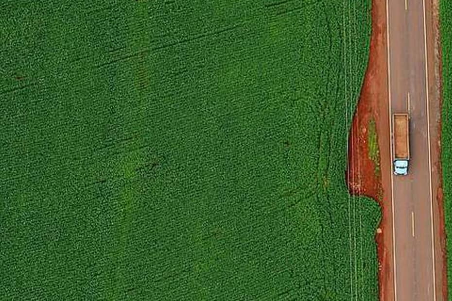 Brasil colherá maiores safras já vistas de soja, milho, sorgo e algodão. E, provavelmente, de trigo