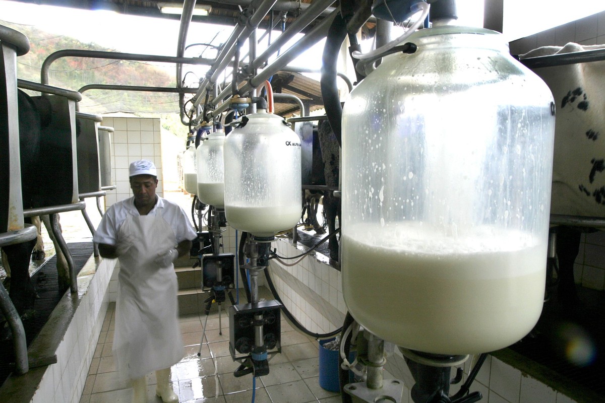Decreto para inibir importação de leite é vitória do setor, avalia CNA