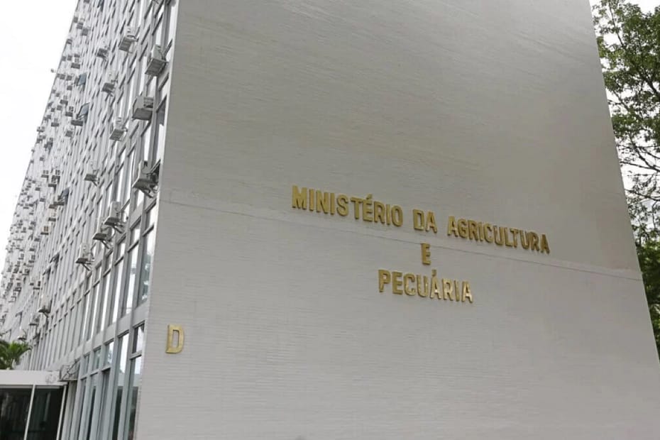 Ministério da Agricultura e Pecuária tem 316 vagas para temporários - Portal do Marcos Santos