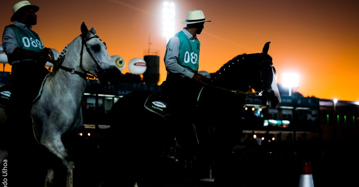 Belo Horizonte recebe a 40ª Exposição Nacional do Cavalo Mangalarga Marchador