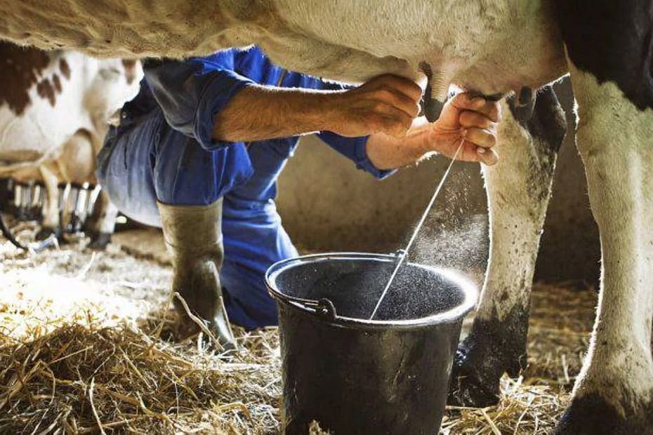 Alep terá audiência pública sobre a crise na pecuária leiteira – Gazeta de Toledo