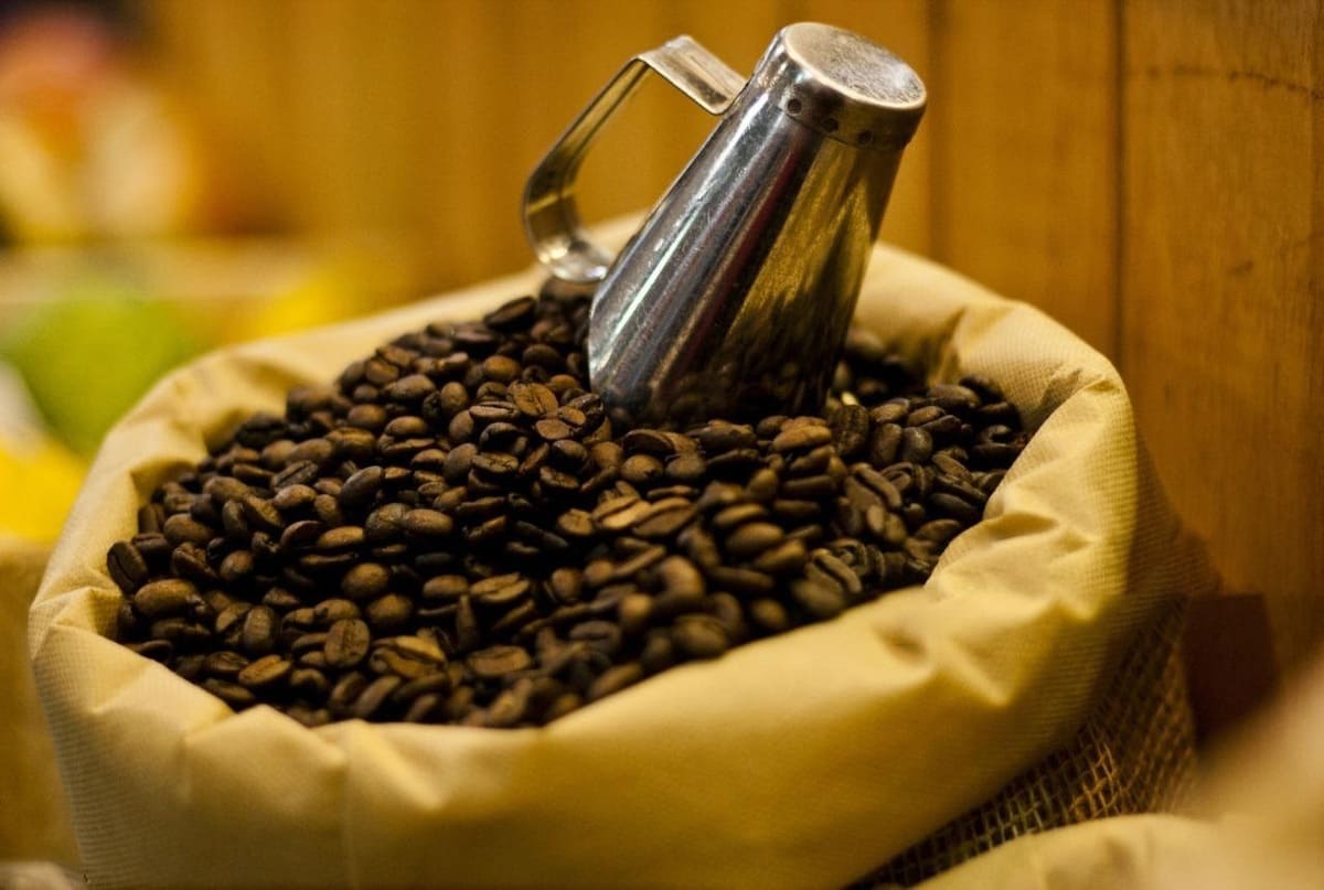 Como melhorar o lucro sem expandir a área de plantio do café?