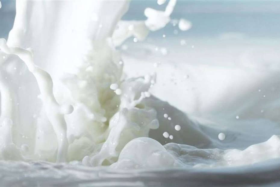 Prévia IBGE: nova recuperação na captação de leite em 2023
