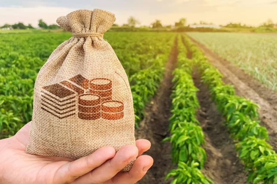 BNDES oferece capital de giro de até R$ 1 bilhão para agropecuária