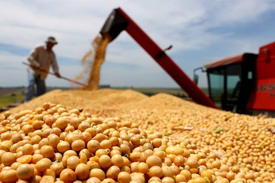 Brasil vem conquistando espaço nos mercados internacionais através da agropecuária