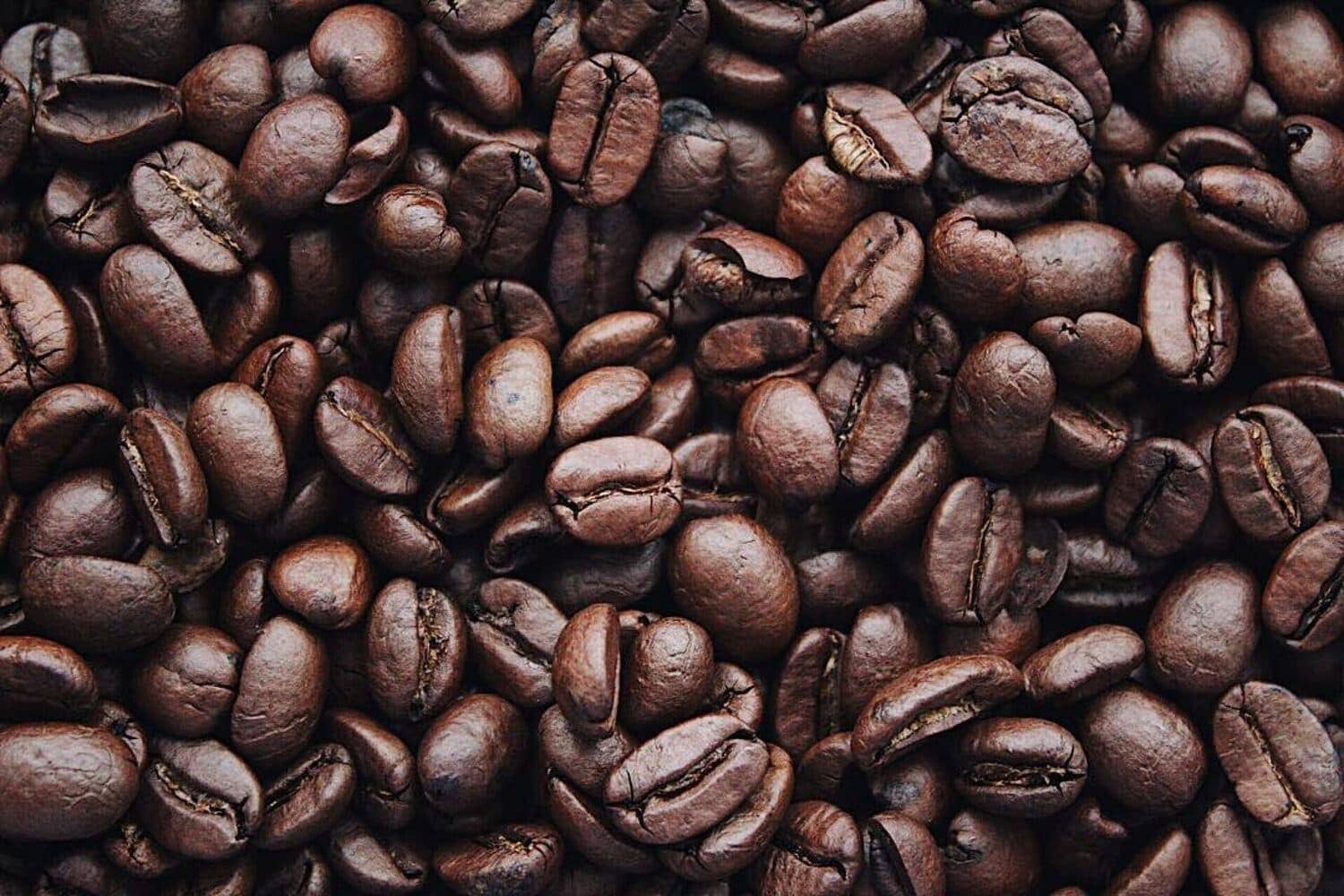 Gestão financeira na produção de café: veja como fazer