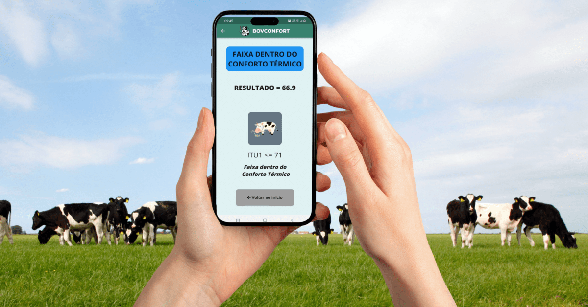 Aplicativo ajuda a calcular conforto térmico para bovinocultura de leite • Portal DBO