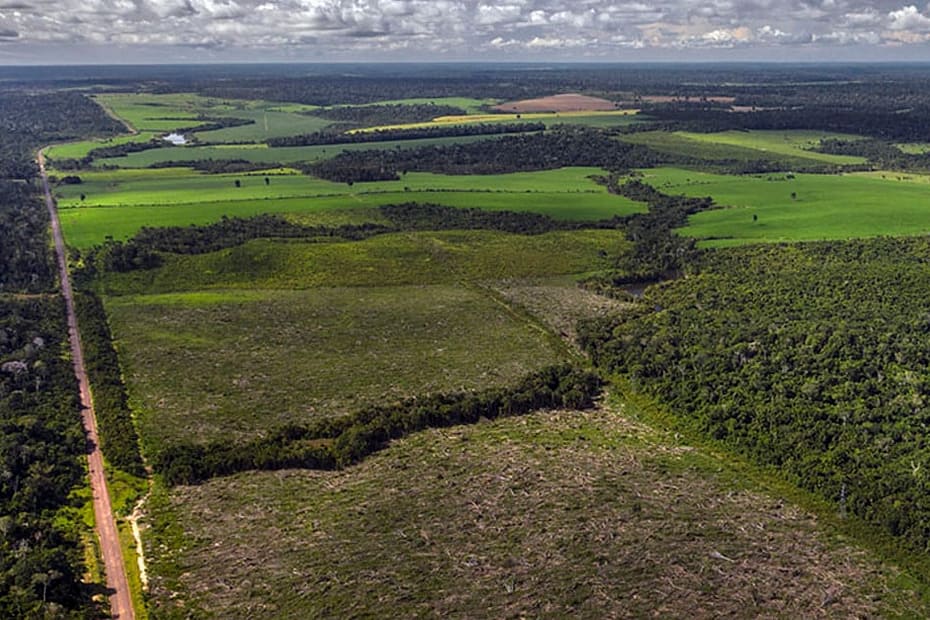 Câmara aprova projeto que facilita regularização de terras na Amazônia Legal