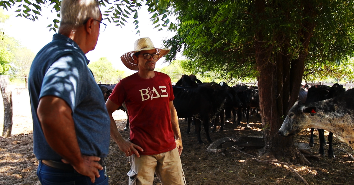 Cooperativa fomenta setor produtivo do leite no Oeste da Bahia
