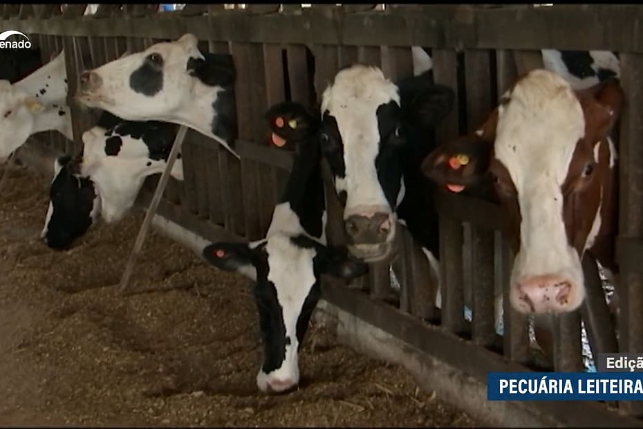 Crise na pecuária leiteira gaúcha é tema de debate na CDH — Senado Notícias