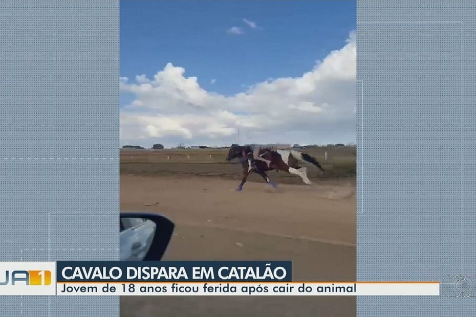 Vídeo mostra jovem desesperada pouco antes de cair de cavalo em disparada por rua de Goiás | Goiás