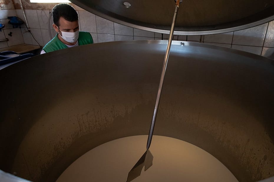 Governo publica decreto que institui grupo de trabalho para fortalecer cadeia do leite | Leite