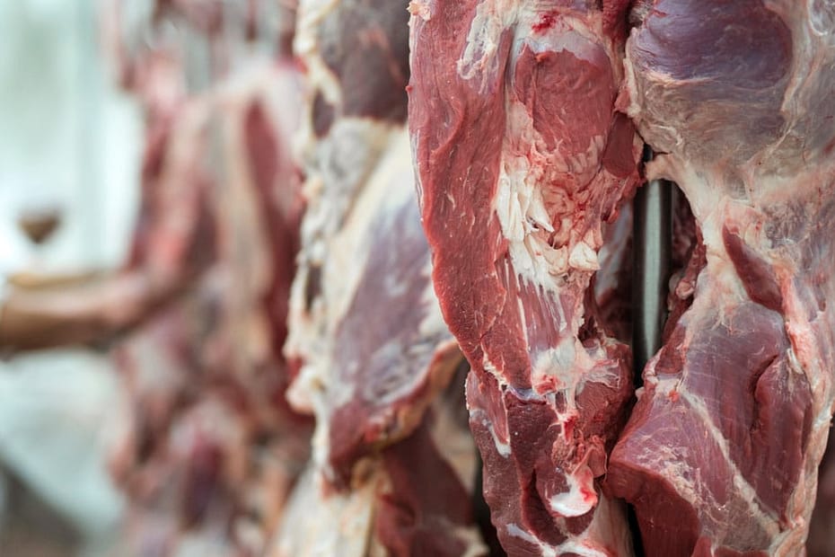 Carne bovina: exportações registram bom ritmo no acumulado do ano - Canal Rural