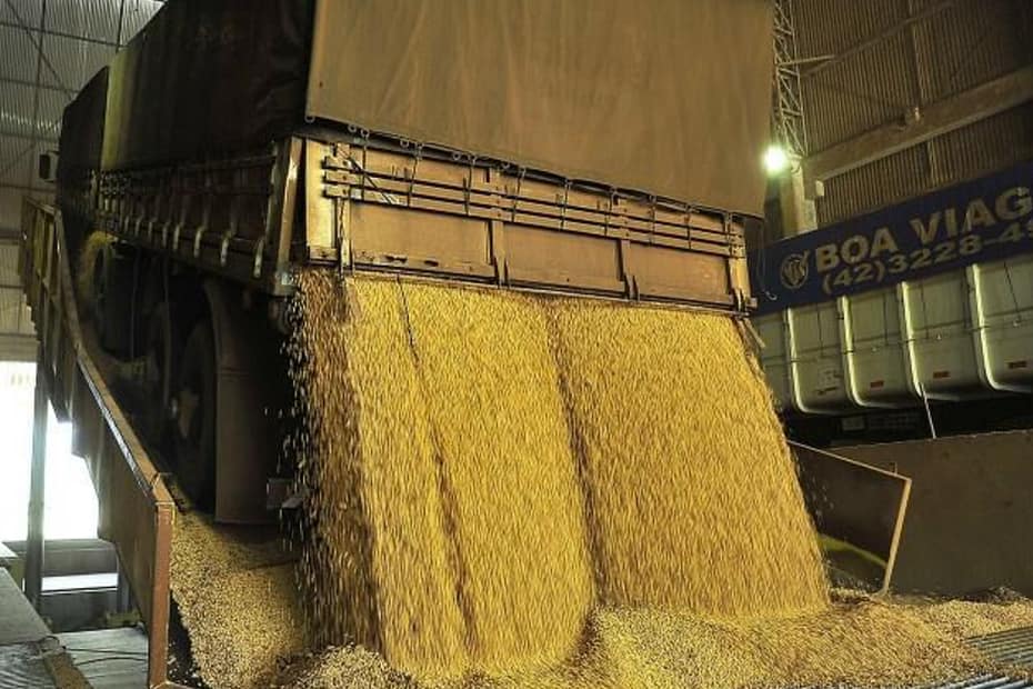 61% dos produtores não têm estruturas para guardar grãos • Portal DBO