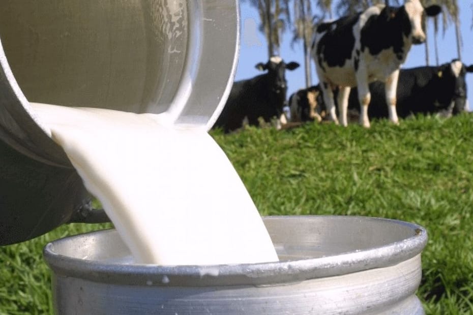 Goiás discute ações de fortalecimento da cadeia produtiva de leite