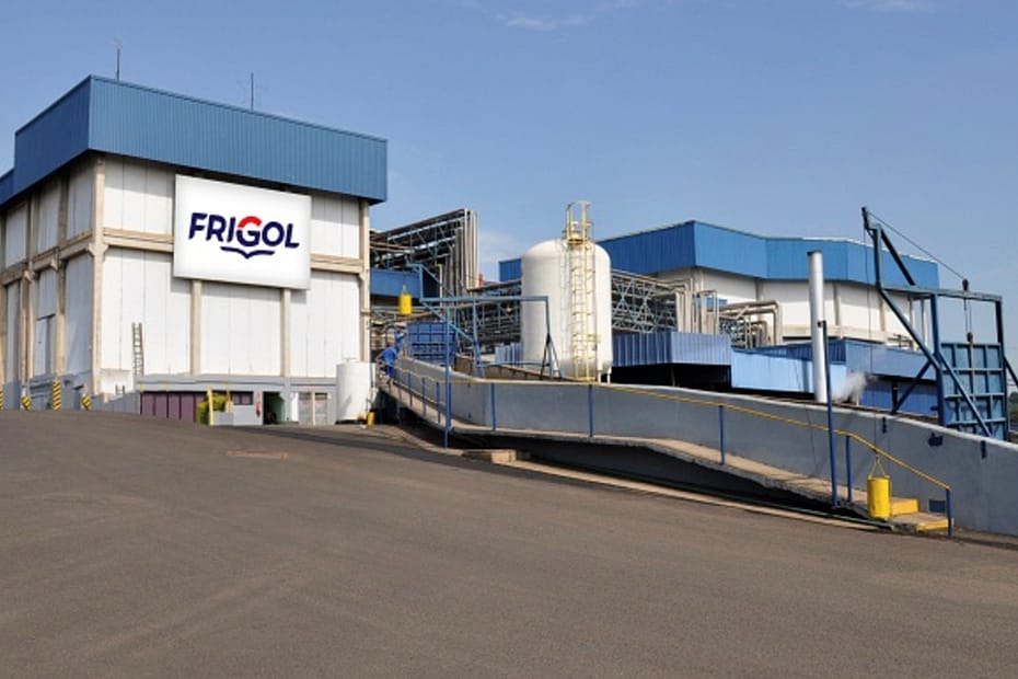 Lucro líquido da FriGol cai 48,9% no 3º trimestre para R$ 13,108 milhões • Portal DBO