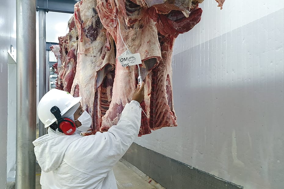 preços seguem firmes, enquanto demanda pela carne bovina fica mais aquecida • Portal DBO