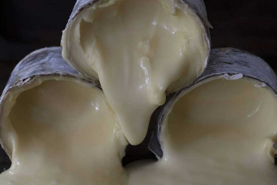 Morro azul ganha o título de melhor queijo brasileiro no World Cheese Awards