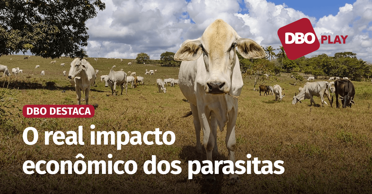 Saiba o quanto os parasitas tiram da pecuária por ano e como enfrentá-los • Portal DBO