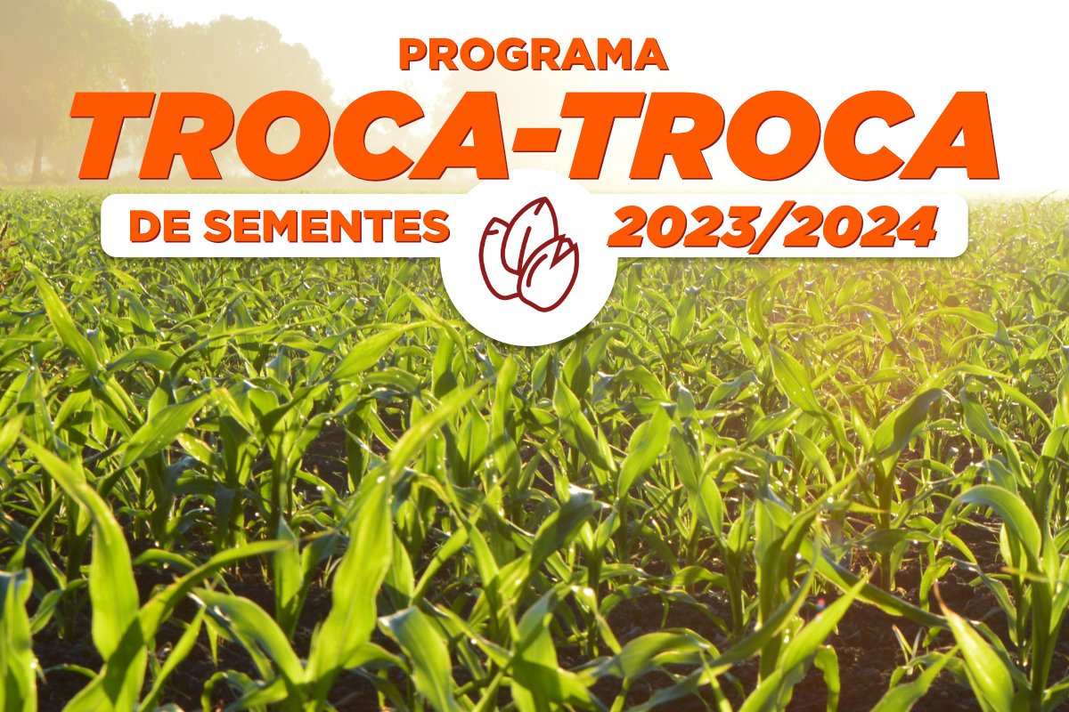 Estão abertos os pedidos para aquisição das sementes de milho e sorgo referentes ao Programa Troca-Troca em Torres