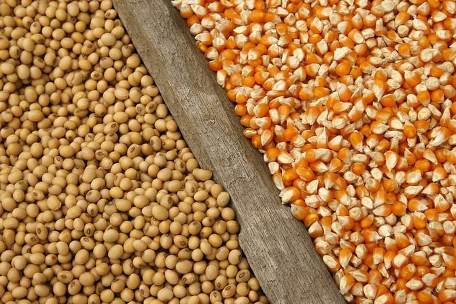 Exportações de soja e milho ultrapassaram resultados de 2022