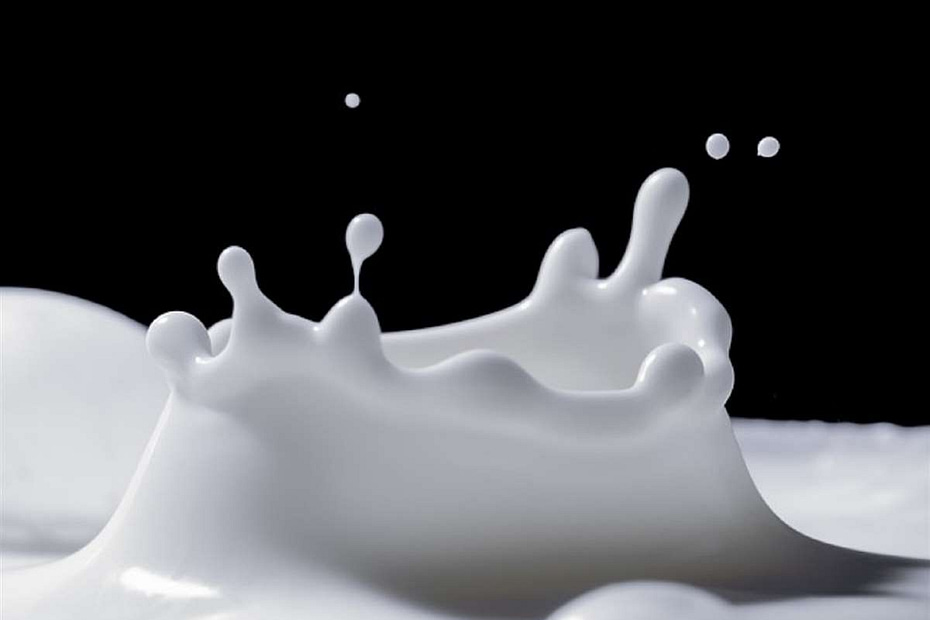 Dirigentes sindicais pedem subsídio para queda do preço do leite
