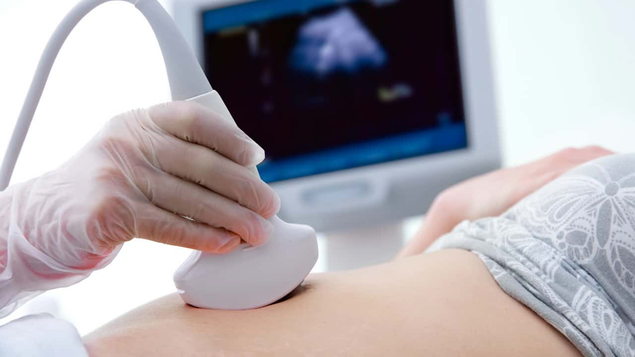 Projeto realiza inseminação artificial gratuita em SP; como funciona?