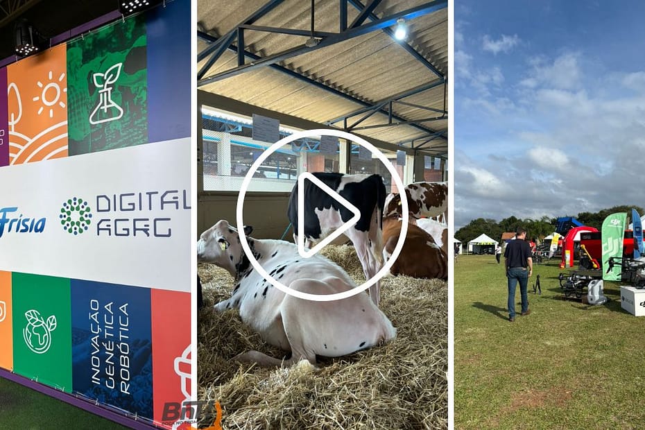 ExpoFrísia: acompanhe as exposições de gado leiteiro e as inovações para a agricultura 2024