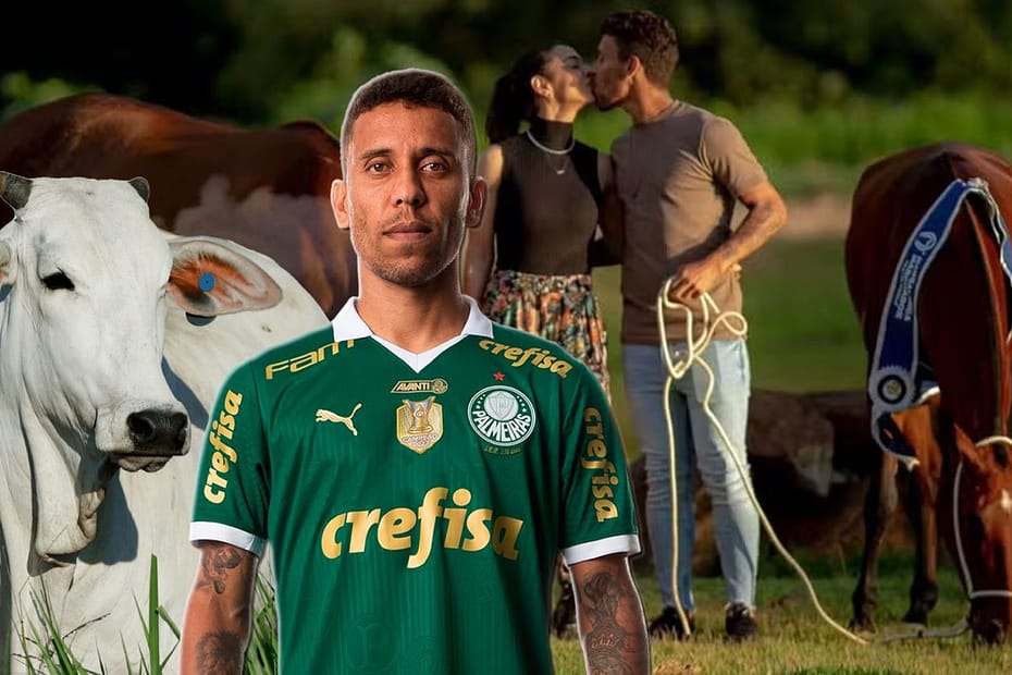 Jogador Marcos Rocha investe em Mangalarga Marchador e gado Nelore — CompreRural