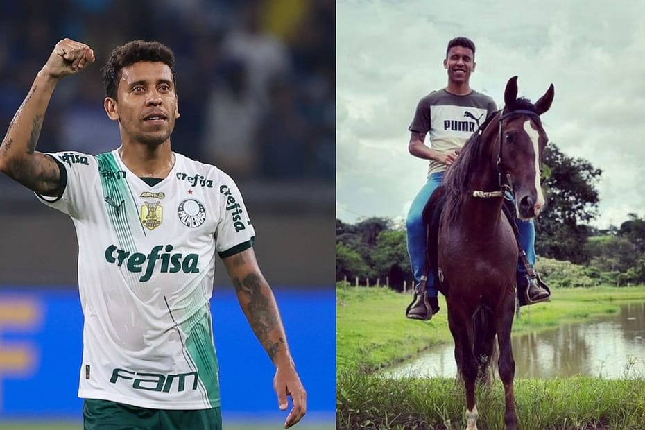 Marcos Rocha, do Palmeiras, investe no agro para ter 'fonte de renda pós-futebol' | Pecuária